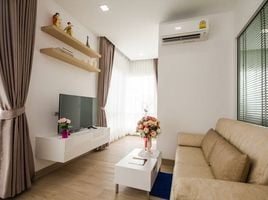 1 Bedroom Condo for rent at Hinoki Condo Chiangmai, Chang Phueak