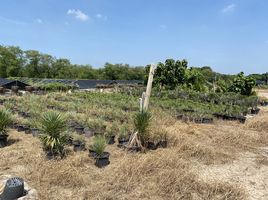  Land for sale in Bo Ngoen, Lat Lum Kaeo, Bo Ngoen