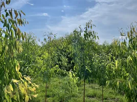  Land for sale in Thailand, Bang Lamung, Pattaya, Chon Buri, Thailand