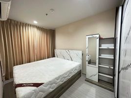 1 Schlafzimmer Wohnung zu vermieten im Life Ladprao, Chomphon, Chatuchak