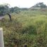  Land for sale in Jose Santos Guardiola, Bay Islands, Jose Santos Guardiola
