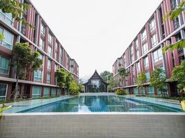 1 Schlafzimmer Appartement zu vermieten im D Vieng Santitham, Chang Phueak, Mueang Chiang Mai
