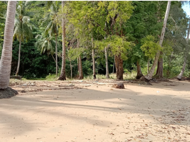  Grundstück zu verkaufen in Pa Khlok, Phuket, Pa Khlok, Thalang, Phuket