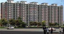 Available Units at Tulip White Sec69