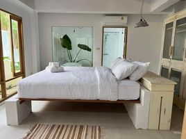 3 Schlafzimmer Villa zu vermieten im Tewana Home Chalong, Wichit, Phuket Town, Phuket