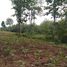  Land for sale in Nikhom Phatthana, Mueang Lampang, Nikhom Phatthana