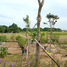  Land for sale in Tha Muang, Kanchanaburi, Tha Muang, Tha Muang