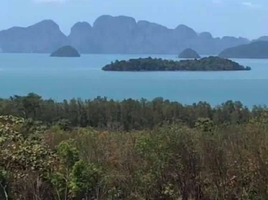  Land for sale in Phangnga, Mueang Phangnga, Phangnga