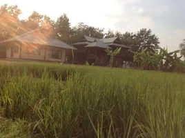  Land for sale in Huai Sai, San Kamphaeng, Huai Sai