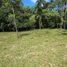  Land for sale in Perez Zeledon, San Jose, Perez Zeledon