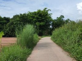  Grundstück zu verkaufen in Ban Na, Nakhon Nayok, Ban Phrik, Ban Na