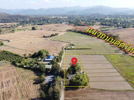  Land for sale in Chiang Mai, Rong Wua Daeng, San Kamphaeng, Chiang Mai