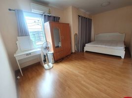 3 Schlafzimmer Reihenhaus zu verkaufen im The Colors Leisure Bangna km.10, Bang Phli Yai