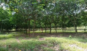 N/A Land for sale in Nong Phrong, Prachin Buri 