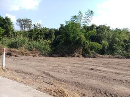  Land for sale in Tha Khum Ngoen, Mae Tha, Tha Khum Ngoen