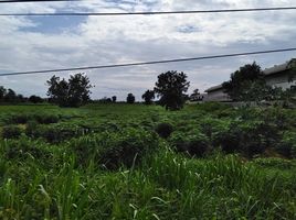  Land for sale in Chok Chai, Nakhon Ratchasima, Chok Chai, Chok Chai