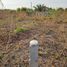  Land for sale in Eastern, Asuogyaman, Eastern