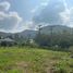  Land for sale in Baan Tai Beach, Maenam, Maenam