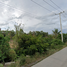  Land for sale in Thailand, Ton Tan, Song Phi Nong, Suphan Buri, Thailand