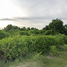  Land for sale in A Noru, Mueang Pattani, A Noru