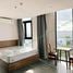1 Bedroom House for rent in Lien Chieu Da Nang, Hoa Minh