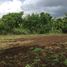  Land for sale in Mueang Buri Ram, Buri Ram, Ban Yang, Mueang Buri Ram