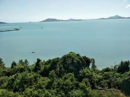  Land for sale in Thalang, Phuket, Pa Khlok, Thalang