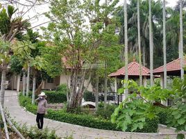 Studio House for sale in An Nhon Tay, Cu Chi, An Nhon Tay