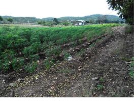  Land for sale in Nakhon Ratchasima, Pak Chong, Pak Chong, Nakhon Ratchasima