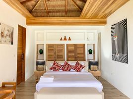 3 Schlafzimmer Haus zu verkaufen in Koh Phangan, Surat Thani, Koh Phangan, Koh Phangan