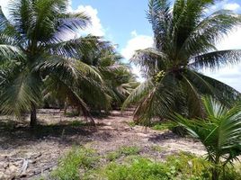  Grundstück zu verkaufen in Humaita, Amazonas, Humaita