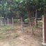  Land for sale in Kyaukse, Mandalay, Kyaukse, Kyaukse