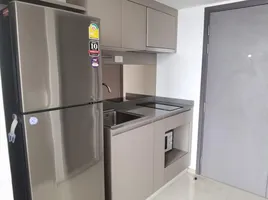 1 Bedroom Condo for rent at IDEO New Rama 9, Hua Mak, Bang Kapi, Bangkok