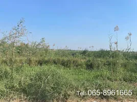  Grundstück zu verkaufen in Bang Sai, Phra Nakhon Si Ayutthaya, Mai Tra