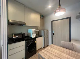 คอนโด 1 ห้องนอน ให้เช่า ในโครงการ แอมเบอร์ บาย อีสเทิร์น สตาร์, บางเขน, เมืองนนทบุรี