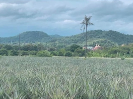  Grundstück zu verkaufen in Pran Buri, Prachuap Khiri Khan, Wang Phong, Pran Buri