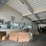  Warehouse for rent in MRT Station, Bangkok, Bang Na, Bang Na, Bangkok