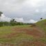  Grundstück zu verkaufen in Naranjo, Alajuela, Naranjo