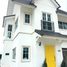 3 Schlafzimmer Villa zu verkaufen im The Clifford Chiang Mai, Mueang Kaeo, Mae Rim
