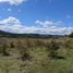  Land for sale in Guaimaca Francisco Morazan, Guaimaca, Francisco Morazan