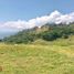  Land for sale in Colombia, Fredonia, Antioquia, Colombia