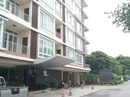 2 Bedroom Condo for rent at The Unique at Nimman, Suthep, Mueang Chiang Mai, Chiang Mai, Thailand