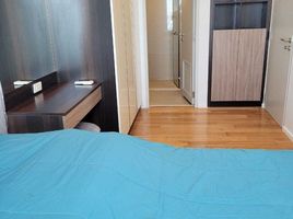 1 Bedroom Condo for rent at Focus Ploenchit, Khlong Toei, Khlong Toei, Bangkok, Thailand