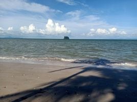  Land for sale in Thailand, Don Sak, Don Sak, Surat Thani, Thailand