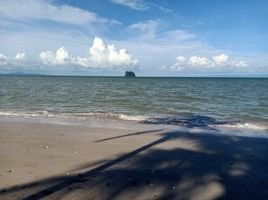  Land for sale in Surat Thani, Don Sak, Don Sak, Surat Thani