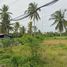  Land for sale in Surat Thani, Makham Tia, Mueang Surat Thani, Surat Thani