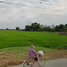  Land for sale in Bang Len Nakhon Pathom, Don Tum, Bang Len
