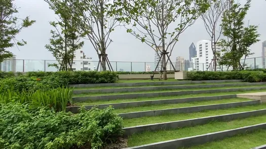 รูปถ่าย 3 of the Communal Garden Area at โนเบิล อราวน์ สุขุมวิท 33