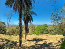  Land for sale in Chiriqui, Las Lomas, David, Chiriqui