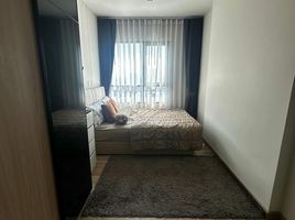 1 Schlafzimmer Wohnung zu verkaufen im Niche Mono Sukhumvit - Bearing, Samrong Nuea